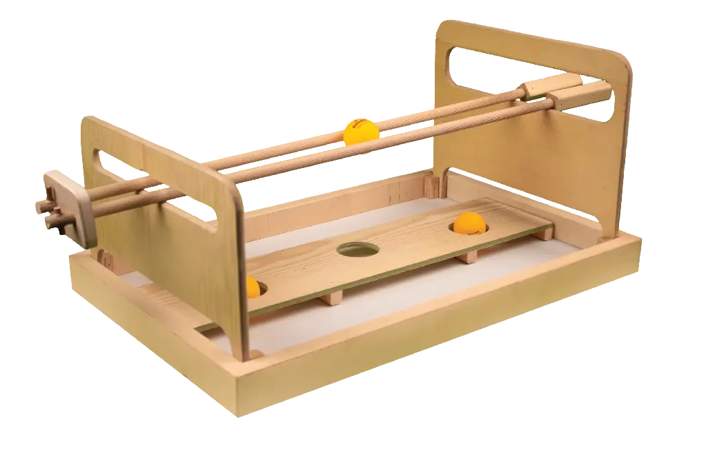Goal Rollers